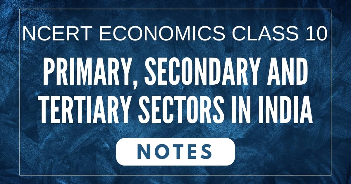 NCERT Economics Class 10 Primary, Secondary and Tertiary Sectors in India Notes