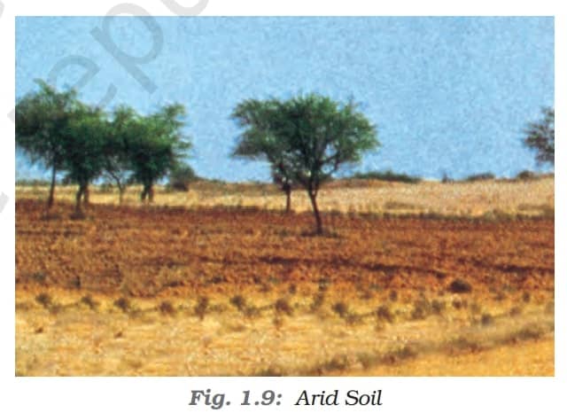 Arid Soils - Soil As A Resource