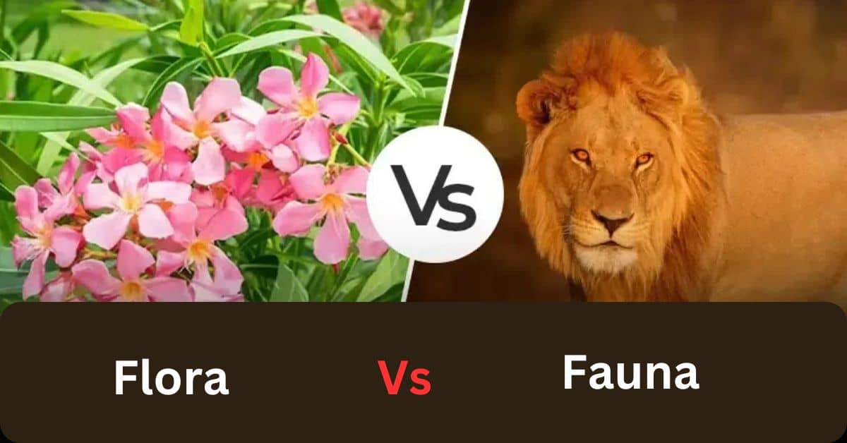 NCERT Geography Class 10 Flora and Fauna in India