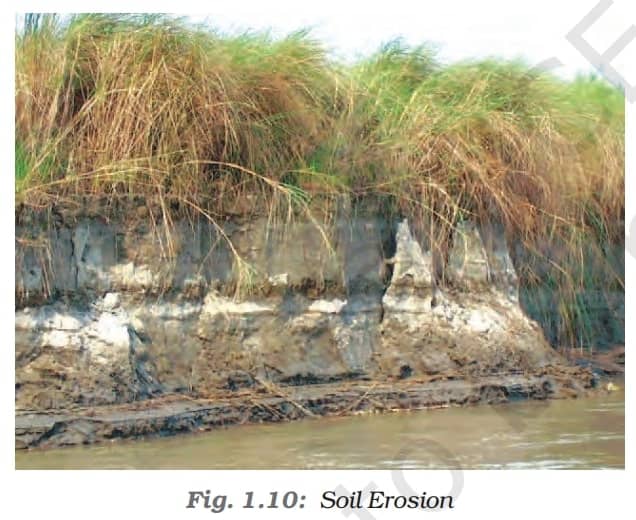 Soil Erosion - Soil As A Resource