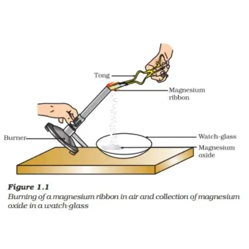 Burning of Magnesium Ribbon Chemical Equations - ebookncert