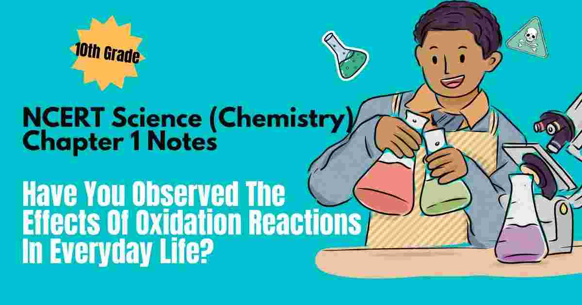 NCERT Science (Chemistry) Class 10 Chapter 1 Notes Have You Observed The Effects Of Oxidation Reactions In Everyday Life - Ebook NCERT