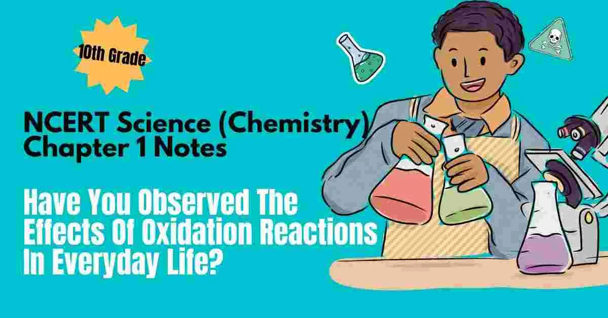 NCERT Science (Chemistry) Class 10 Chapter 1 Notes Have You Observed The Effects Of Oxidation Reactions In Everyday Life - Ebook NCERT