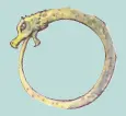 Snake Biting Its Tail to Form a Ring (Ouroboros) - Important Symbols and Their Meanings - The Outbreak of the Revolution - E-book NCERT
