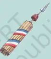 The Bundle of Rods or Fasces - Important Symbols and Their Meanings - The Outbreak of the Revolution - E-book NCERT