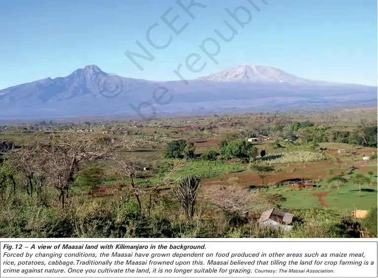 A view of Maasai land with Kilimanjaro in the background - NCERT History Class 9 Chapter 5 Pastoralism in Africa Notes & PDF - E-book NCERT
