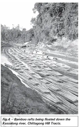 Bamboo rafts being floated down the Kassalong river, Chittagong Hill Tracts - NCERT History Class 9 Chapter 4 Notes - Why Deforestation - E-book NCERT