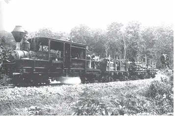 Dutch Scientific Forestry - Train transporting teak out of the forest – late colonial period - NCERT History Class 9 Chapter 4 Notes - Forest Transformations in Java - E-book NCERT