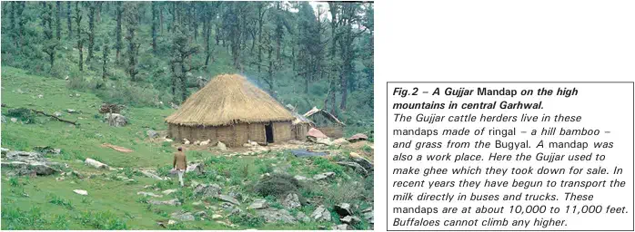 In the Mountains - A Gujjar Mandap on the high mountains in central Garhwal - NCERT History Class 9 Chapter 5 Pastoral Nomads and their Movements Notes & PDF - E-book NCERT