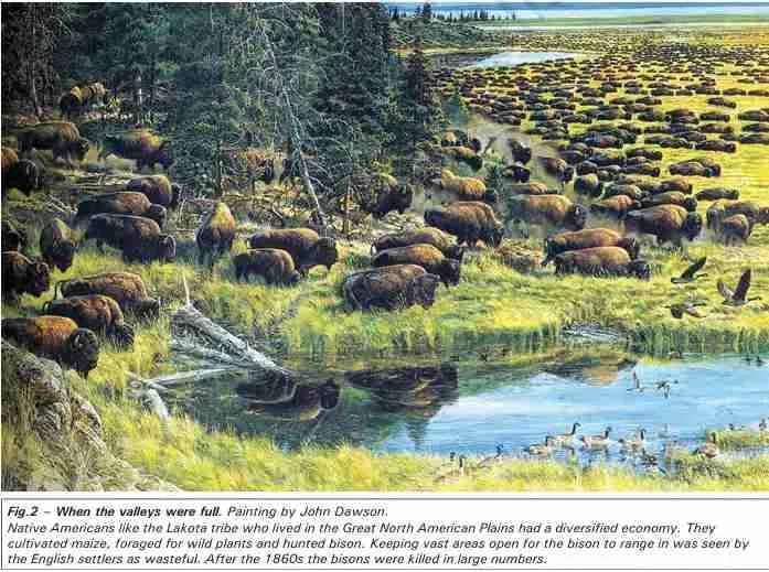 Land to be Improved - When the valleys were full - Painting by John Dawson - - NCERT History Class 9 Chapter 4 Notes - Why Deforestation - E-book NCERT