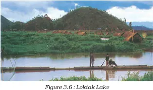 Loktak Lake - NCERT Geography Class 9 Chapter 3 Lakes Notes & PDF - Ebook NCERT