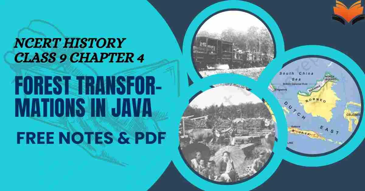 NCERT History Class 9 Chapter 4 Forest Transformations in Java Notes & PDF