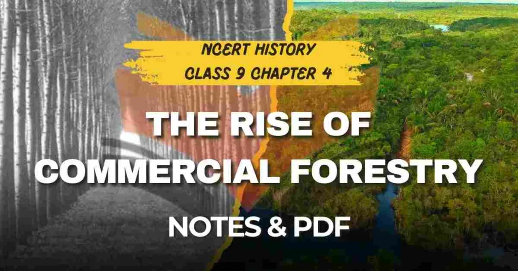 NCERT History Class 9 Chapter 4 The Rise of Commercial Forestry Notes & PDF