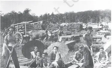 New Developments in Forestry - Log yard in Rembang under Dutch colonial rule - NCERT History Class 9 Chapter 4 Notes - Forest Transformations in Java - E-book NCERT