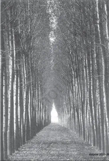 One aisle of a managed poplar forest in Tuscany, Italy - NCERT History Class 9 Chapter 4 The Rise of Commercial Forestry Notes & PDF