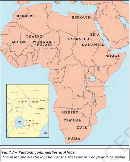 Pastoral communities in Africa - NCERT History Class 9 Chapter 5 Pastoralism in Africa Notes & PDF - E-book NCERT