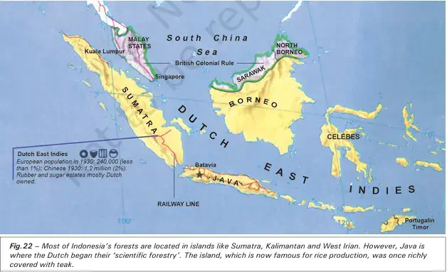 Samins Challenge - The island, which is now famous for rice production, was once richly covered with teak - NCERT History Class 9 Chapter 4 Notes - Forest Transformations in Java - E-book NCERT