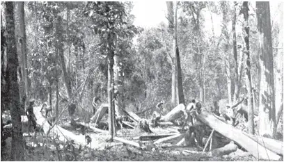 Sleepers on the Tracks - Converting sal logs into sleepers in the Singhbhum forests, Chhotanagpur, May 1897 - NCERT History Class 9 Chapter 4 Notes - Why Deforestation - E-book NCERT