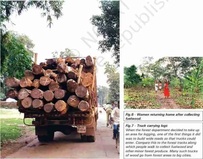 Source B - NCERT History Class 9 Chapter 4 Notes - Why Deforestation