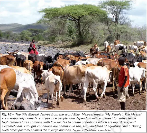 The title Maasai derives from the word Maa. Maa-sai means 'My People' - NCERT History Class 9 Chapter 5 Pastoralism in Africa Notes & PDF - E-book NCERT