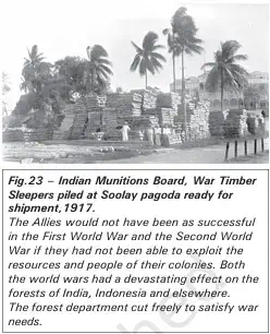 War and Deforestation - Indian Munitions Board, War Timber Sleepers piled at Soolay pagoda ready for shipment,1917 - NCERT History Class 9 Chapter 4 Notes - Forest Transformations in Java - E-book NCERT