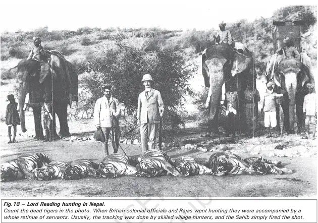 Who could Hunt - Lord Reading hunting in Nepal - NCERT History Class 9 Chapter 4 The Rise of Commercial Forestry Notes & PDF