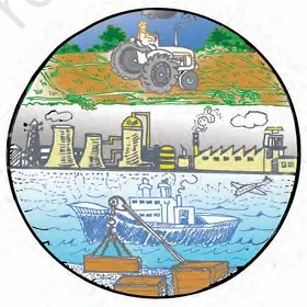 Based on the picture can you classify these activities into three sectors - NCERT Economics Class 9 Chapter 2 Economic Activities by Men and Women Notes & PDF - E-book NCERT