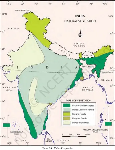 Natural Vegetation - NCERT Geography Class 9 Chapter 5 Types Of Vegetation Notes & PDF - Ebook NCERT
