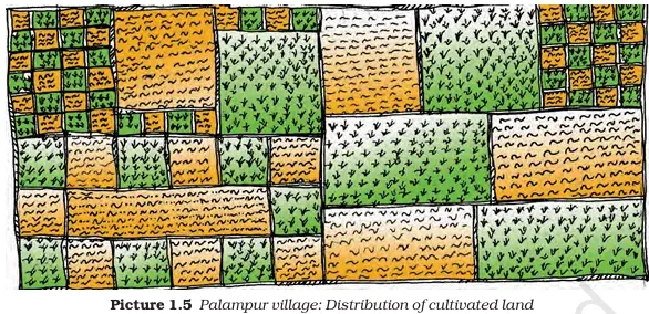 Palampur village Distribution of cultivated land - NCERT Economics Class 9 Chapter 1 Farming in Palampur Notes & PDF - E-book NCERT