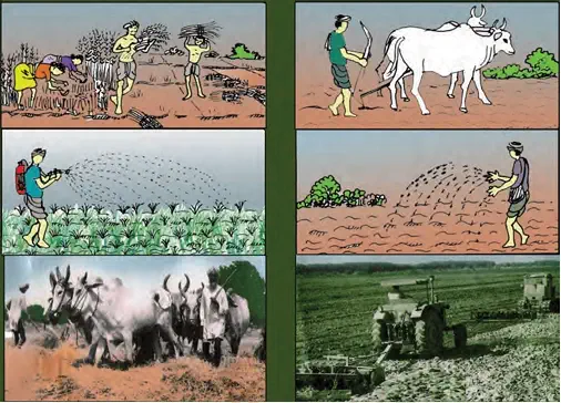 Work on the fields - Wheat crop - ploughing by bullocks sowing spraying of insecticides cultivation - NCERT Economics Class 9 Chapter 1 Farming in Palampur Notes & PDF - E-book NCERT