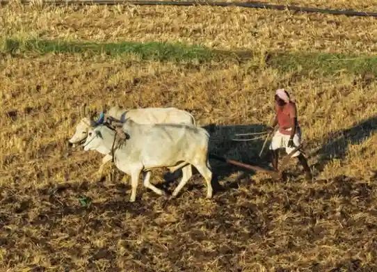 Gentle-ploughing-causes-minimal-disturbance-to-the-underground-ecosystem-and-retains-soil-moisture---When-Does-Nature-Become-A-Resource-Revision-Notes-&-MCQs---E-book-NCERT
