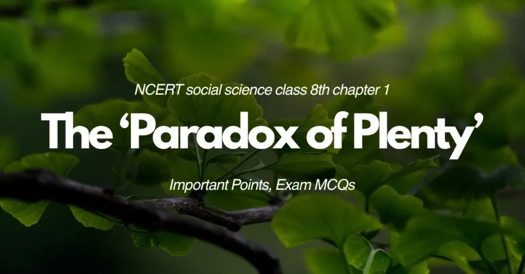 The ‘Paradox of Plenty’ Important Points, Exam MCQs - E-book NCERT